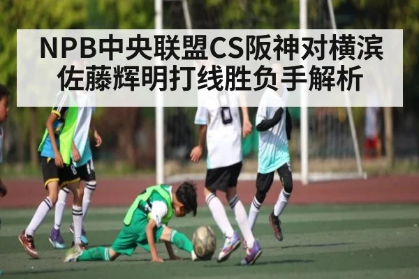 NPB中央联盟CS阪神对横滨 佐藤辉明打线胜负手解析